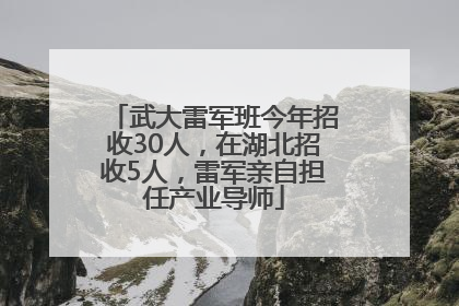 武大雷军班今年招收30人，在湖北招收5人，雷军亲自担任产业导师