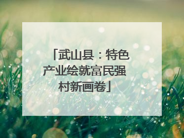 武山县：特色产业绘就富民强村新画卷