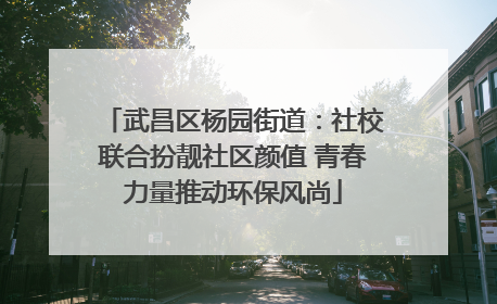 武昌区杨园街道：社校联合扮靓社区颜值 青春力量推动环保风尚