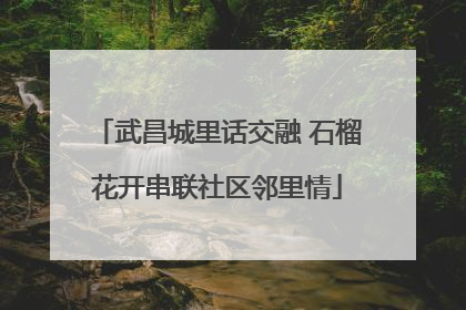 武昌城里话交融 石榴花开串联社区邻里情