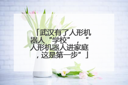 武汉有了人形机器人“学校”，“人形机器人进家庭，这是第一步”