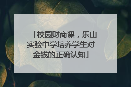 校园财商课，乐山实验中学培养学生对金钱的正确认知