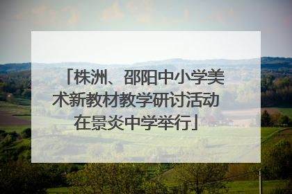 株洲、邵阳中小学美术新教材教学研讨活动在景炎中学举行