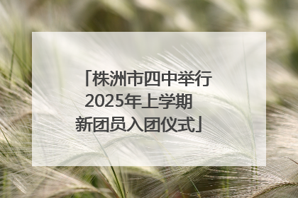 株洲市四中举行2025年上学期新团员入团仪式
