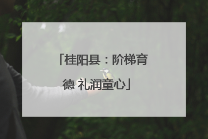 桂阳县：阶梯育德 礼润童心