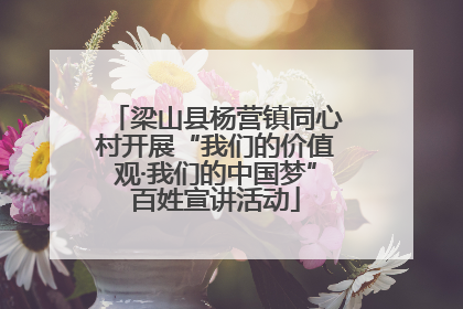 梁山县杨营镇同心村开展“我们的价值观·我们的中国梦”百姓宣讲活动