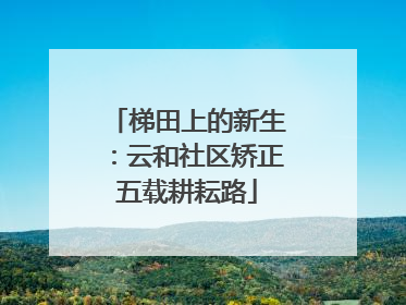 梯田上的新生：云和社区矫正五载耕耘路