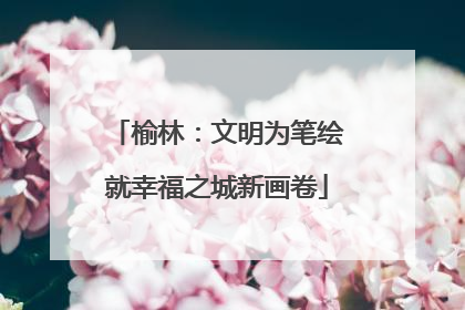 榆林：文明为笔绘就幸福之城新画卷