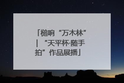槌响“万木林”｜“天平杯·随手拍”作品展播