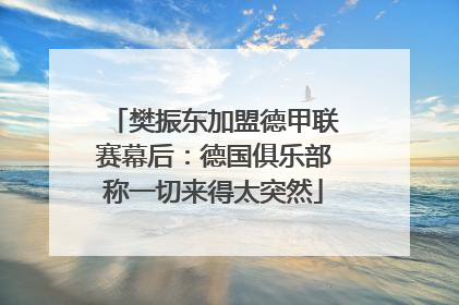 樊振东加盟德甲联赛幕后：德国俱乐部称一切来得太突然