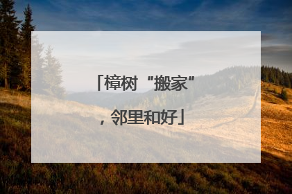 樟树“搬家”，邻里和好
