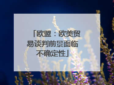 欧盟：欧美贸易谈判前景面临不确定性