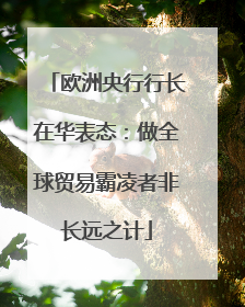 欧洲央行行长在华表态：做全球贸易霸凌者非长远之计