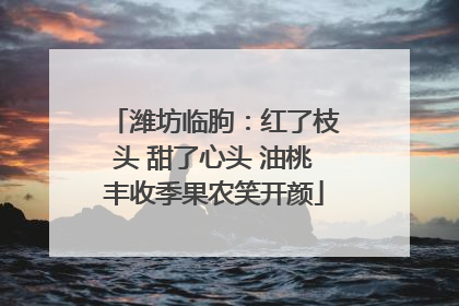 潍坊临朐：红了枝头 甜了心头 油桃丰收季果农笑开颜