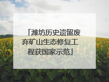 潍坊历史遗留废弃矿山生态修复工程获国家示范
