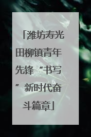 潍坊寿光田柳镇青年先锋“书写”新时代奋斗篇章