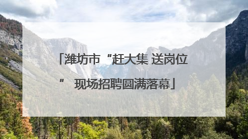 潍坊市“赶大集 送岗位” 现场招聘圆满落幕