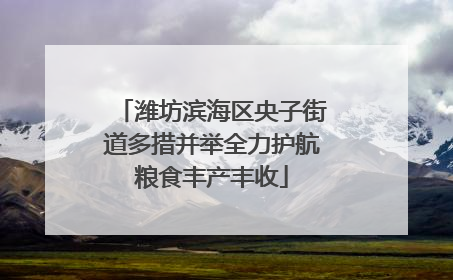 潍坊滨海区央子街道多措并举全力护航粮食丰产丰收
