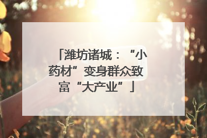 潍坊诸城：“小药材”变身群众致富“大产业”