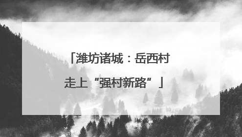 潍坊诸城：岳西村走上“强村新路”