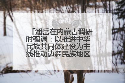 潘岳在内蒙古调研时强调：以推进中华民族共同体建设为主线推动边疆民族地区高质量发展