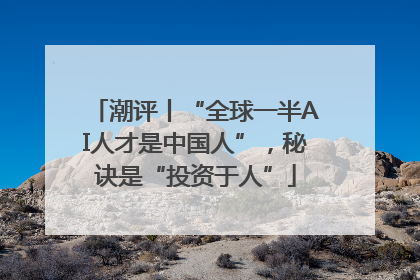 潮评丨“全球一半AI人才是中国人”，秘诀是“投资于人”