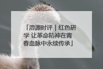 澧源时评｜红色研学 让革命精神在青春血脉中永续传承