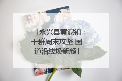 永兴县黄泥镇：干群周末攻坚 国道沿线焕新颜