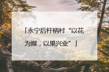 永宁后杆柄村“以花为媒，以果兴业”