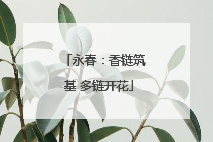 永春：香链筑基 多链开花
