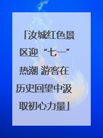 汝城红色景区迎“七一”热潮 游客在历史回望中汲取初心力量