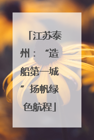 江苏泰州：“造船第一城”扬帆绿色航程