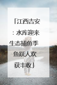 江西吉安：水库迎来生态捕鱼季 鱼跃人欢获丰收