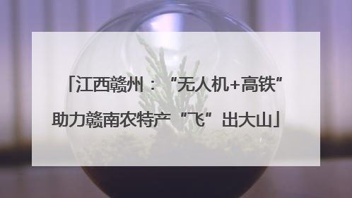江西赣州：“无人机+高铁”助力赣南农特产“飞”出大山