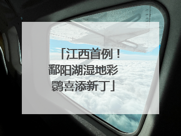 江西首例！鄱阳湖湿地彩鹮喜添新丁