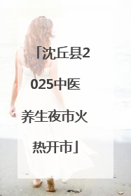 沈丘县2025中医养生夜市火热开市