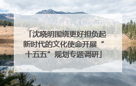 沈晓明围绕更好担负起新时代的文化使命开展“十五五”规划专题调研