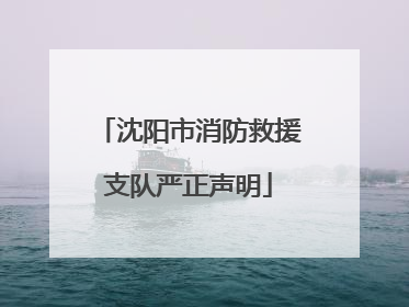 沈阳市消防救援支队严正声明