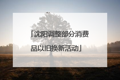 沈阳调整部分消费品以旧换新活动