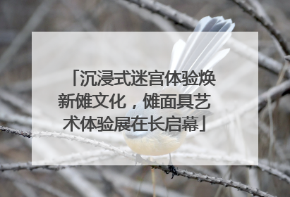 沉浸式迷宫体验焕新傩文化，傩面具艺术体验展在长启幕