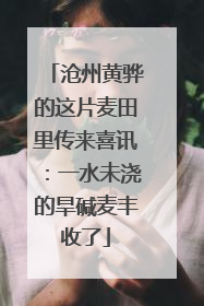 沧州黄骅的这片麦田里传来喜讯：一水未浇的旱碱麦丰收了