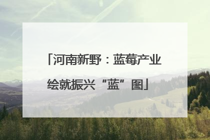 河南新野：蓝莓产业绘就振兴“蓝”图