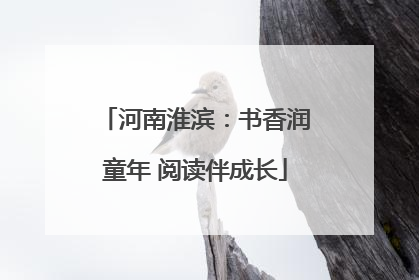 河南淮滨：书香润童年 阅读伴成长