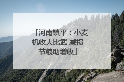 河南镇平：小麦机收大比武 减损节粮助增收
