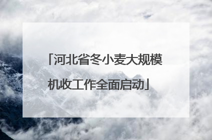 河北省冬小麦大规模机收工作全面启动