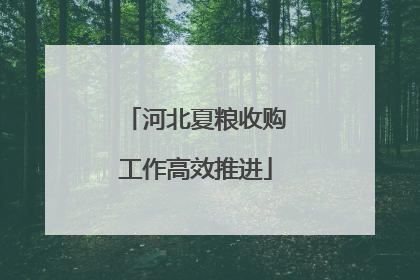 河北夏粮收购工作高效推进