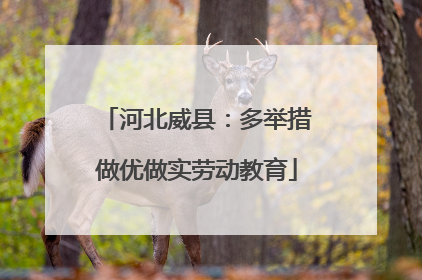 河北威县：多举措做优做实劳动教育