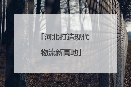 河北打造现代物流新高地