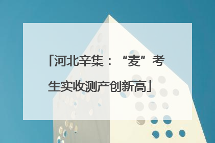 河北辛集：“麦”考生实收测产创新高