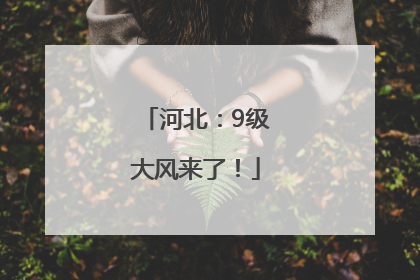 河北：9级大风来了！